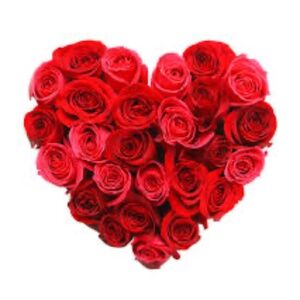 Meet your Posher, Michelle and her coworker Sophie